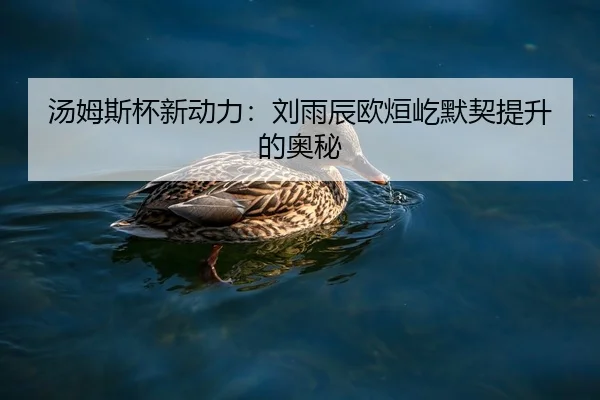 汤姆斯杯新动力：刘雨辰欧烜屹默契提升的奥秘