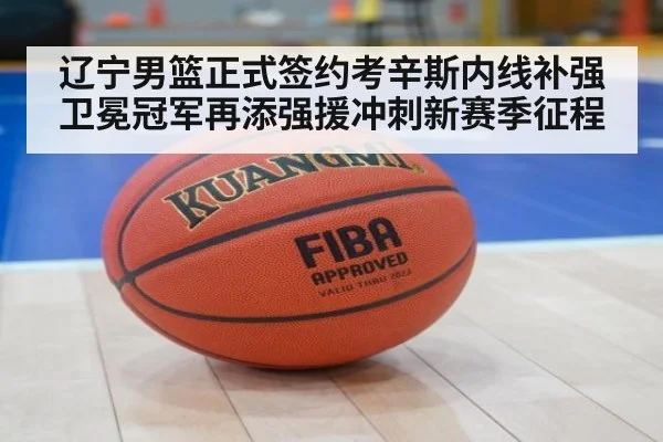 辽宁男篮正式签约考辛斯内线补强卫冕冠军再添强援冲刺新赛季征程
